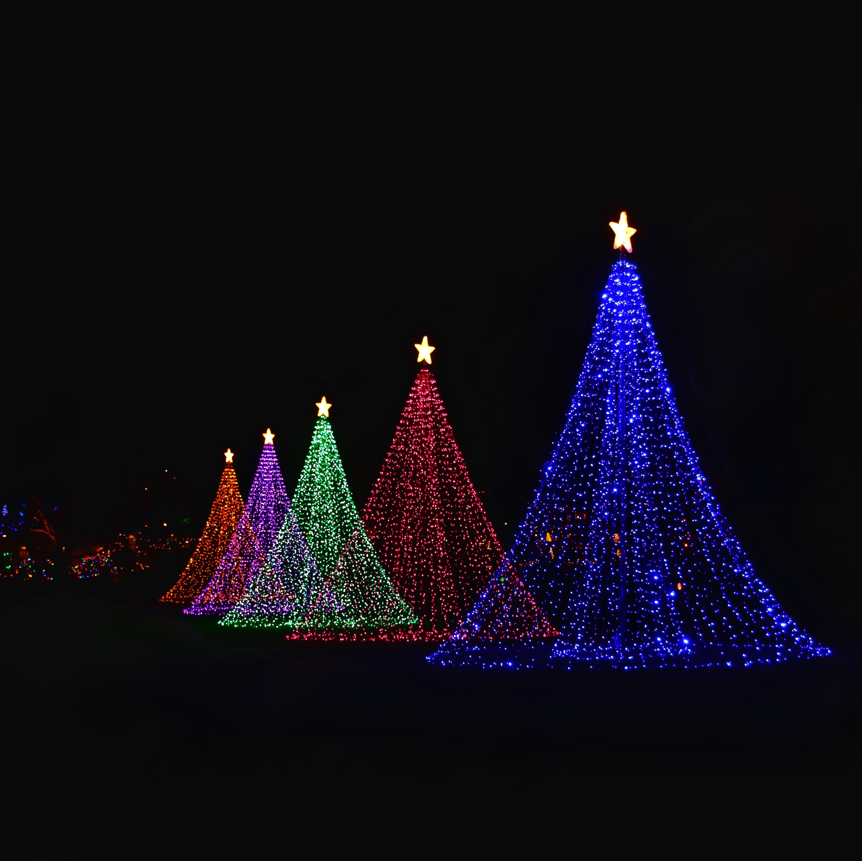 Weihnachten – Bunte Kegel aus Lichterketten mit einem Stern auf der Spitze