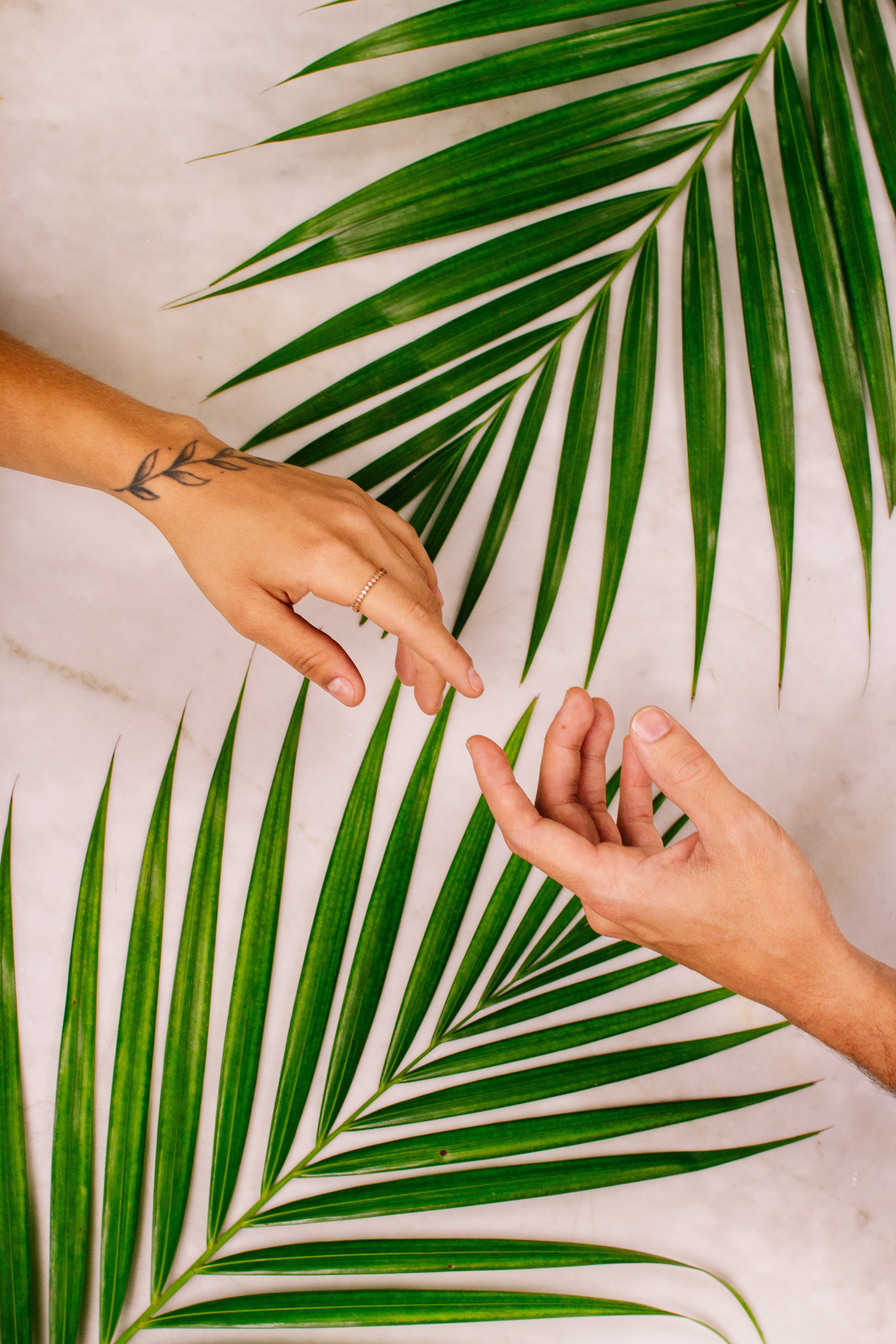Zwei Hände, die sich einander entgegenstrecke vor Hintergrund mit Palmenblättern